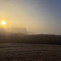 Nebbia e brina la mattina presto