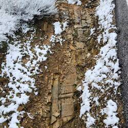 Shale rock, so slippery and dangerous. They call it dragon teeth.