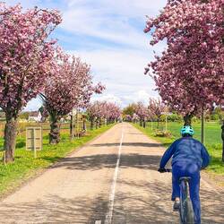 Ab nach Colmar
