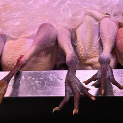 ... zeigt her eure Füße ...