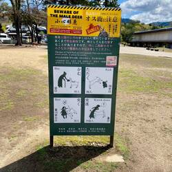 Angst und Schrecken verbreiten...