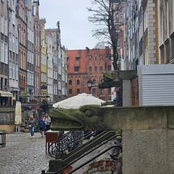 Wasserspeier in der Mariengasse