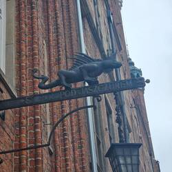 König der Drachen?