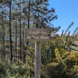 Ils ne s'embêtent pas quand ils n'ont pas d'inspiration ! 😀