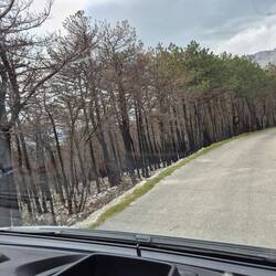 Ein riesen Waldgebiet ist da abgebrannt😢💔❤️‍🔥 (man siehts nicht gut)