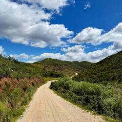 auf dem Weg nach Silves