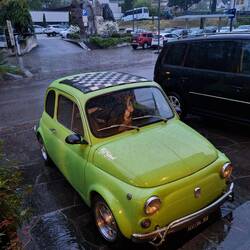 Mini mit Spielbrett 🙉