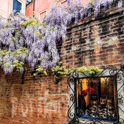 Am I the only one reading "Potter" there?