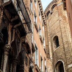 50 shades of brown 🤎