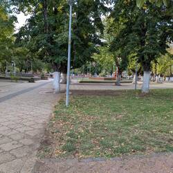 (Stadt) Park