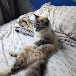 Die Katze vom Hostel kam uns dann auf einmal Nachts besuchen und auch Tagsüber