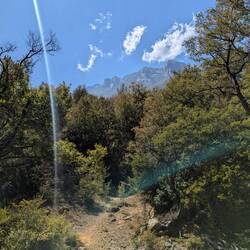 Wanderungsversuch, musste ich Abbrechen da es keinen Weg mehr gab