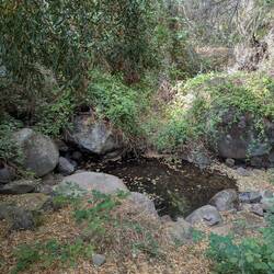 Unsere Dusche, da die bei uns nicht ging