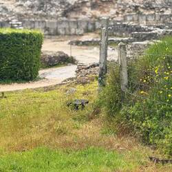 Part of ancient Roman ruins in Cominbrings