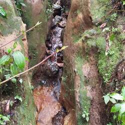 La trace de l'armistice