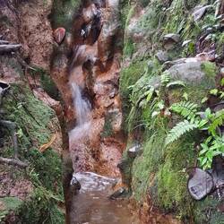 Toujours la trace du moins ce qui y ressemble