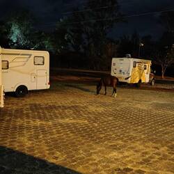 Und nachts bekamen wir tierischen Besuch