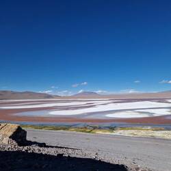 Laguna Colorada