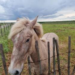 Ich wurde geschmust!