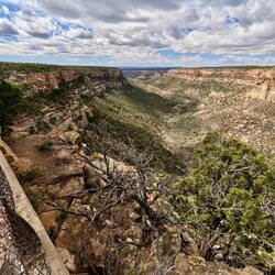 Navajo Canyon View