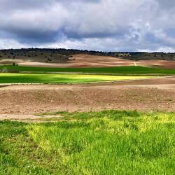 Unverrichteter Dinge ziehe ich weiter und geniesse die Stimmung