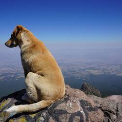 Gipfelaussicht mit den Guides geniessen.