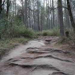 Erst noch ein breiter Weg.