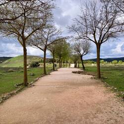 Diese Strasse führte zur Stadt, hinten links auf dem Hügel