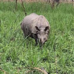 Schaut euch diese Ohren an 🥹