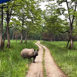 Und dann wäre er plötzlich vor uns 😍
