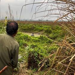 Und da sind die Nashörner am Baden