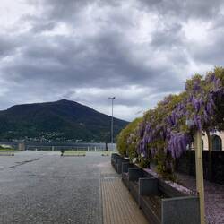 Grad schonet's, spaziere zum "lungo lago"