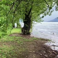 Vil fählt nöd am Ufer🥛🌊