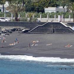 No beaches here so they made one