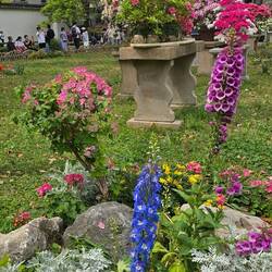 Es gibt auch Blumen ...