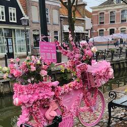Pink bicycle in front of the chocolate shop