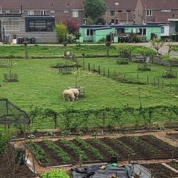 Pretty homesteads along our route
