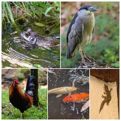 Gleich mal bei den Nachbarn vorgestellt....