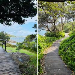 Nielsen Park an der Rose Bay