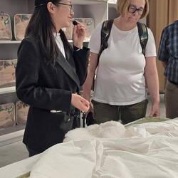 eine echte Seidendecke