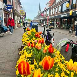 Überall Blumenschmuck