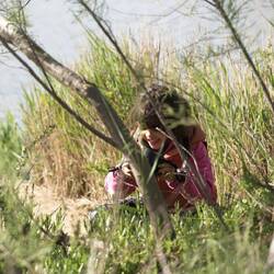 So, den habe ich erwischt....