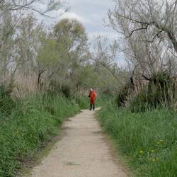 ...niemand wird verschohnt