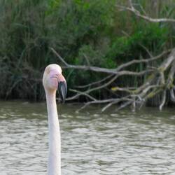 ...he, warte, ich will auch noch auf das Bild