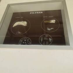 ...und fotografieren.