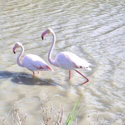 ....oder nicht weg laufen....