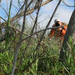 ....stimmt, ein weiterer Vogel fotografiert