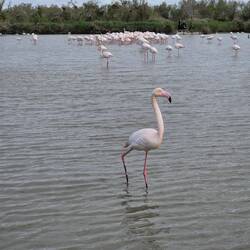 ...so, jetzt aber...