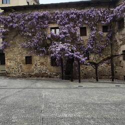 It's spring some places