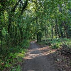 Lovely walking!